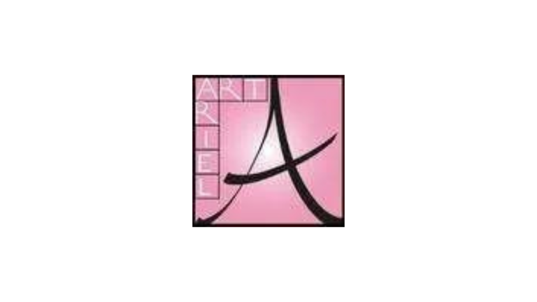 Presentazione opera d'arte in Realtà Aumentata realizzata per Ariel Art